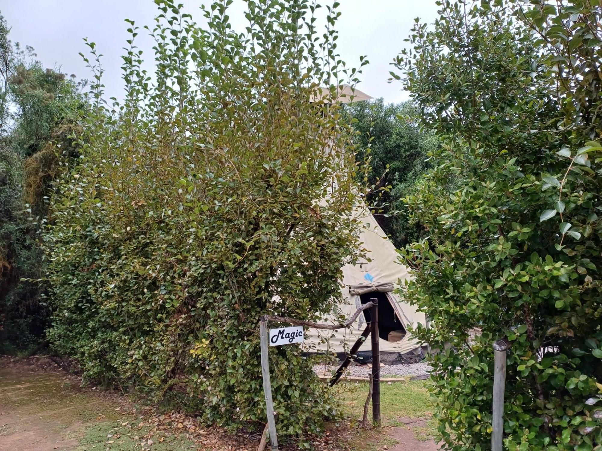 Assegai Rest Villa Robertson Buitenkant foto